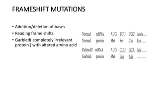 FRAMESHIFT MUTATIONS
• Addition/deletion of bases
• Reading frame shifts
• Garbled( completely irrelevant
protein ) with altered amino acid
 