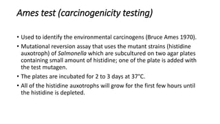 Ames test (carcinogenicity testing)
• Used to identify the environmental carcinogens (Bruce Ames 1970).
• Mutational reversion assay that uses the mutant strains (histidine
auxotroph) of Salmonella which are subcultured on two agar plates
containing small amount of histidine; one of the plate is added with
the test mutagen.
• The plates are incubated for 2 to 3 days at 37°C.
• All of the histidine auxotrophs will grow for the first few hours until
the histidine is depleted.
 