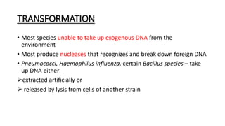 TRANSFORMATION
• Most species unable to take up exogenous DNA from the
environment
• Most produce nucleases that recognizes and break down foreign DNA
• Pneumococci, Haemophilus influenza, certain Bacillus species – take
up DNA either
extracted artificially or
 released by lysis from cells of another strain
 