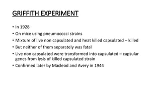 GRIFFITH EXPERIMENT
• In 1928
• On mice using pneumococci strains
• Mixture of live non capsulated and heat killed capsulated – killed
• But neither of them separately was fatal
• Live non capsulated were transformed into capsulated – capsular
genes from lysis of killed capsulated strain
• Confirmed later by Macleod and Avery in 1944
 