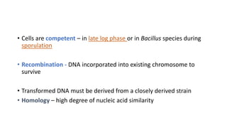 • Cells are competent – in late log phase or in Bacillus species during
sporulation
• Recombination - DNA incorporated into existing chromosome to
survive
• Transformed DNA must be derived from a closely derived strain
• Homology – high degree of nucleic acid similarity
 