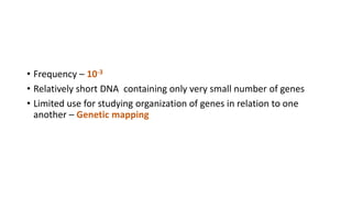 • Frequency – 10-3
• Relatively short DNA containing only very small number of genes
• Limited use for studying organization of genes in relation to one
another – Genetic mapping
 