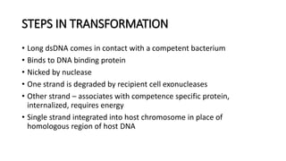 STEPS IN TRANSFORMATION
• Long dsDNA comes in contact with a competent bacterium
• Binds to DNA binding protein
• Nicked by nuclease
• One strand is degraded by recipient cell exonucleases
• Other strand – associates with competence specific protein,
internalized, requires energy
• Single strand integrated into host chromosome in place of
homologous region of host DNA
 
