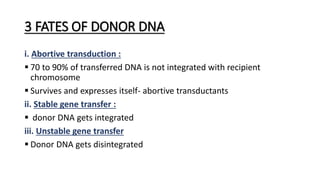 3 FATES OF DONOR DNA
i. Abortive transduction :
 70 to 90% of transferred DNA is not integrated with recipient
chromosome
 Survives and expresses itself- abortive transductants
ii. Stable gene transfer :
 donor DNA gets integrated
iii. Unstable gene transfer
 Donor DNA gets disintegrated
 