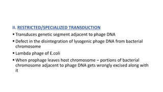 II. RESTRICTED/SPECIALIZED TRANSDUCTION
 Transduces genetic segment adjacent to phage DNA
 Defect in the disintegration of lysogenic phage DNA from bacterial
chromosome
 Lambda phage of E.coli
 When prophage leaves host chromosome – portions of bacterial
chromosome adjacent to phage DNA gets wrongly excised along with
it
 
