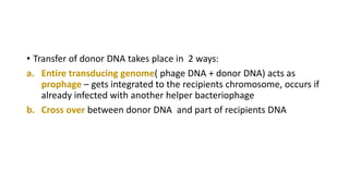 • Transfer of donor DNA takes place in 2 ways:
a. Entire transducing genome( phage DNA + donor DNA) acts as
prophage – gets integrated to the recipients chromosome, occurs if
already infected with another helper bacteriophage
b. Cross over between donor DNA and part of recipients DNA
 