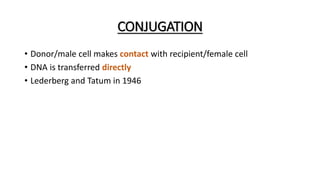 CONJUGATION
• Donor/male cell makes contact with recipient/female cell
• DNA is transferred directly
• Lederberg and Tatum in 1946
 