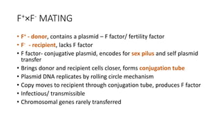 F+×F- MATING
• F+ - donor, contains a plasmid – F factor/ fertility factor
• F- - recipient, lacks F factor
• F factor- conjugative plasmid, encodes for sex pilus and self plasmid
transfer
• Brings donor and recipient cells closer, forms conjugation tube
• Plasmid DNA replicates by rolling circle mechanism
• Copy moves to recipient through conjugation tube, produces F factor
• Infectious/ transmissible
• Chromosomal genes rarely transferred
 