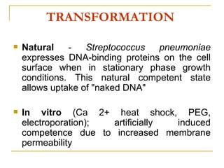 TRANSFORMATION Natural - Streptococcus pneumoniae expresses DNA-binding proteins on the cell surface when in stationary phase growth conditions. This natural competent state allows uptake of "naked DNA" In vitro (Ca 2+ heat shock, PEG, electroporation); artificially induced competence due to increased membrane permeability
