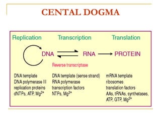 CENTAL DOGMA
