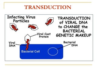 TRANSDUCTION