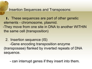 Transposition Inverted Sequences Bacterial genetics | PPT