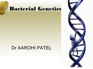 Bacterial Genetics

Dr AAROHI PATEL

 