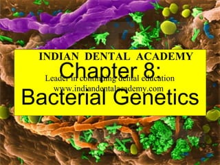 INDIAN DENTAL ACADEMY

Chapter 8:
Bacterial Genetics
Leader in continuing dental education
www.indiandentalacademy.com

www.indiandentalacademy.com

 