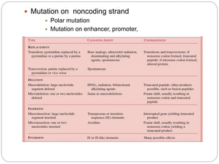  Mutation on noncoding strand
 Polar mutation
 Mutation on enhancer, promoter,
 