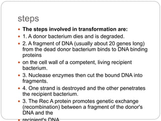 steps
 The steps involved in transformation are:
 1. A donor bacterium dies and is degraded.
 2. A fragment of DNA (usually about 20 genes long)
from the dead donor bacterium binds to DNA binding
proteins
 on the cell wall of a competent, living recipient
bacterium.
 3. Nuclease enzymes then cut the bound DNA into
fragments.
 4. One strand is destroyed and the other penetrates
the recipient bacterium.
 3. The Rec A protein promotes genetic exchange
(recombination) between a fragment of the donor's
DNA and the
 