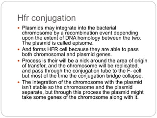 Hfr conjugation
 Plasmids may integrate into the bacterial
chromosome by a recombination event depending
upon the extent of DNA homology between the two.
The plasmid is called episome.
 And forms HFR cell because they are able to pass
both chromosomal and plasmid genes.
 Process is their will be a nick around the area of origin
of transfer, and the chromosome will be replicated,
and pass through the conjugation tube to the F- cell
but most of the time the conjugation bridge collapse.
 The integration of the chromosome with the plasmid
isn’t stable so the chromosome and the plasmid
separate, but through this process the plasmid might
take some genes of the chromosome along with it.
 