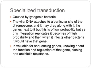 Specialized transduction
 Caused by lysogenic bacteria
 The viral DNA attaches to a particular site of the
chromosome, and it may drag along with it the
genes next to it but this is of low probability but as
this integration replicates it becomes of high
probability and then when it infects other bacteria
it would have that gene.
 Is valuable for sequencing genes, knowing about
the function and regulation of that gene, cloning
and antibiotic resistance.
 