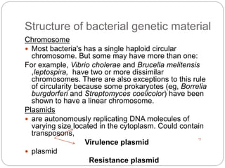 Structure of bacterial genetic material
Chromosome
 Most bacteria's has a single haploid circular
chromosome. But some may have more than one:
For example, Vibrio cholerae and Brucella melitensis
,leptospira, have two or more dissimilar
chromosomes. There are also exceptions to this rule
of circularity because some prokaryotes (eg, Borrelia
burgdorferi and Streptomyces coelicolor) have been
shown to have a linear chromosome.
Plasmids
 are autonomously replicating DNA molecules of
varying size located in the cytoplasm. Could contain
transposons,
Virulence plasmid
 plasmid
Resistance plasmid
 