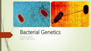 Bacterial Genetics
Dr Aaron Sarwal
MDS 1st Year (Cons)
 
