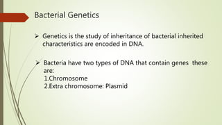 Bacterial Genetics
 Genetics is the study of inheritance of bacterial inherited
characteristics are encoded in DNA.
 Bacteria have two types of DNA that contain genes these
are:
1.Chromosome
2.Extra chromosome: Plasmid
 