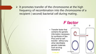 Bacterial genetics | PPTX