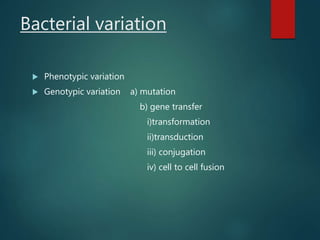 Bacterial genetics | PPTX