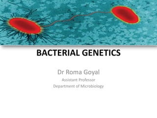 BACTERIAL GENETICS
Dr Roma Goyal
Assistant Professor
Department of Microbiology
 