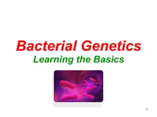 Bacterial Genetics
Learning the Basics
1
 