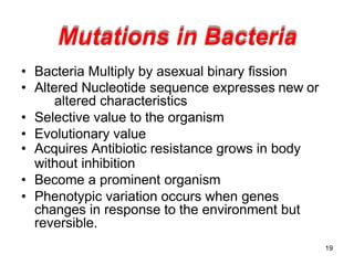 Mutations in Bacteria
19
• Bacteria Multiply by asexual binary fission
• Altered Nucleotide sequence expresses new or
alte...