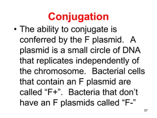 Conjugation
• The ability to conjugate is
conferred by the F plasmid. A
plasmid is a small circle of DNA
that replicates i...