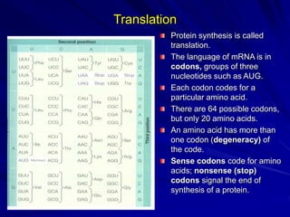 BACTERIAL GENETICS.ppt