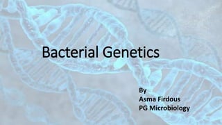Bacterial Genetics
By
Asma Firdous
PG Microbiology
 