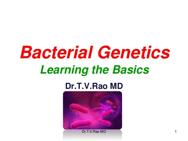 bacterial genetics basics