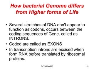 How bacterial Genome differs
from Higher forms of Life
• Several stretches of DNA don't appear to
function as codons, occurs between the
coding sequences of Gene. called as
INTRONS.
• Coded are called as EXONS
• In transcription introns are excised when
form RNA before translated by ribosomal
proteins.
19
Dr.T.V.Rao MD
 
