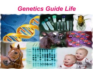 Genetics Guide Life
2
Dr.T.V.Rao MD
 