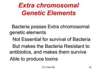 Extra chromosomal
Genetic Elements
Bacteria posses Extra chromosomal
genetic elements
Not Essential for survival of Bacteria
But makes the Bacteria Resistant to
antibiotics, and makes them survive
Able to produce toxins
20
Dr.T.V.Rao MD
 