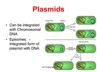 Plasmids
• Can be integrated
with Chromosomal
DNA
• Episomes -
Integrated form of
plasmid with DNA
25
Dr.T.V.Rao MD
 