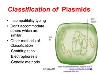 Classification of Plasmids
• Incompatibility typing
• Don't accommodate
others which are
similar
• Other methods of
Classification
Centrifugation
Electrophoresis
Genetic methods
27
Dr.T.V.Rao MD
 