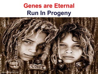 Genes are Eternal
Run In Progeny
3
Dr.T.V.Rao MD
 