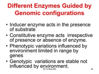 Different Enzymes Guided by
Genomic configurations
• Inducer enzyme acts in the presence
of substrate
• Constitutive enzyme acts irrespective
of presence or absence of enzyme.
• Phenotypic variations influenced by
environment limited in range by
genes
• Genotypic variations are stable not
influenced by environment. 30
Dr.T.V.Rao MD
 