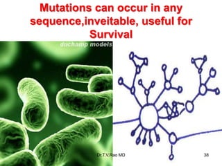 Mutations can occur in any
sequence,inveitable, useful for
Survival
38
Dr.T.V.Rao MD
 
