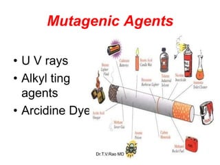 Mutagenic Agents
• U V rays
• Alkyl ting
agents
• Arcidine Dyes
42
Dr.T.V.Rao MD
 