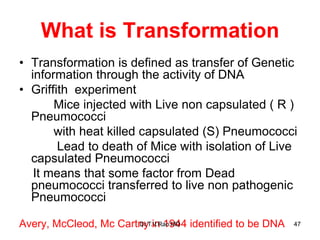 What is Transformation
• Transformation is defined as transfer of Genetic
information through the activity of DNA
• Griffith experiment
Mice injected with Live non capsulated ( R )
Pneumococci
with heat killed capsulated (S) Pneumococci
Lead to death of Mice with isolation of Live
capsulated Pneumococci
It means that some factor from Dead
pneumococci transferred to live non pathogenic
Pneumococci
Avery, McCleod, Mc Cartny in 1944 identified to be DNA 47
Dr.T.V.Rao MD
 