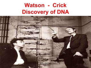 Watson - Crick
Discovery of DNA
5
Dr.T.V.Rao MD
 