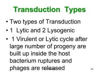 Transduction Types
• Two types of Transduction
• 1 Lytic and 2 Lysogenic
• 1 Virulent or Lytic cycle after
large number of progeny are
built up inside the host
bacterium ruptures and
phages are released 54
Dr.T.V.Rao MD
 
