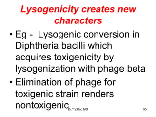 Lysogenicity creates new
characters
• Eg - Lysogenic conversion in
Diphtheria bacilli which
acquires toxigenicity by
lysogenization with phage beta
• Elimination of phage for
toxigenic strain renders
nontoxigenic 55
Dr.T.V.Rao MD
 