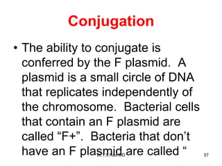 Conjugation
• The ability to conjugate is
conferred by the F plasmid. A
plasmid is a small circle of DNA
that replicates independently of
the chromosome. Bacterial cells
that contain an F plasmid are
called “F+”. Bacteria that don’t
have an F plasmid are called “ 57
Dr.T.V.Rao MD
 