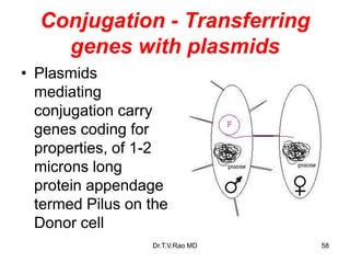 Conjugation - Transferring
genes with plasmids
• Plasmids
mediating
conjugation carry
genes coding for
properties, of 1-2
microns long
protein appendage
termed Pilus on the
Donor cell
58
Dr.T.V.Rao MD
 