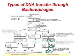 Types of DNA transfer through
Bacteriophages
67
Dr.T.V.Rao MD
 